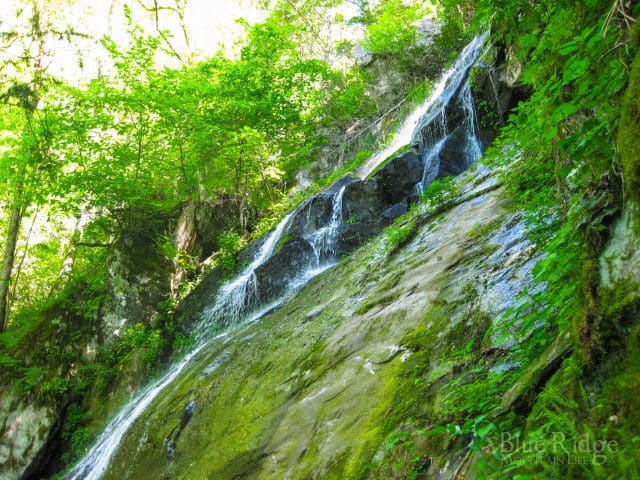 Hen Wallow Falls