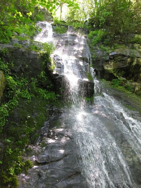 Hen Wallow Falls Tall Hen Wallow Falls Tall