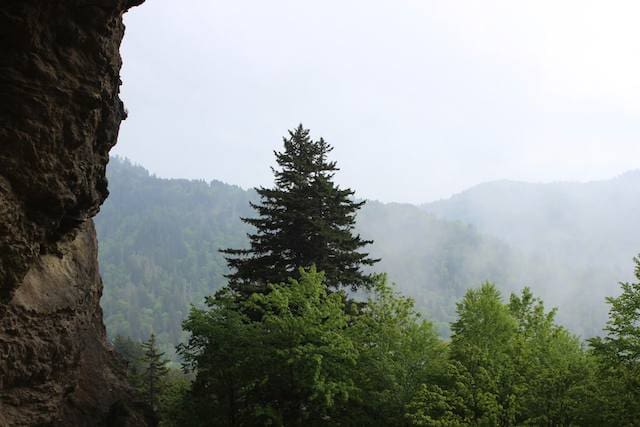Alum Cave View