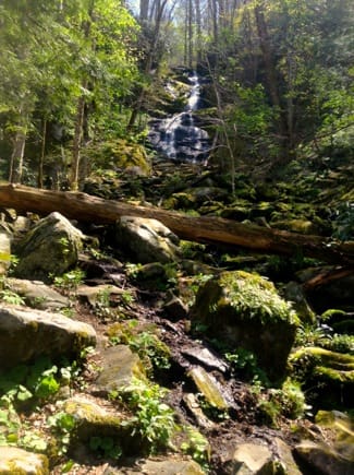Fern Branch Falls from the trail