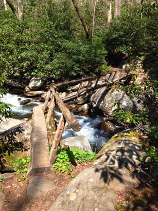 Porter's Creek Trail Bridge
