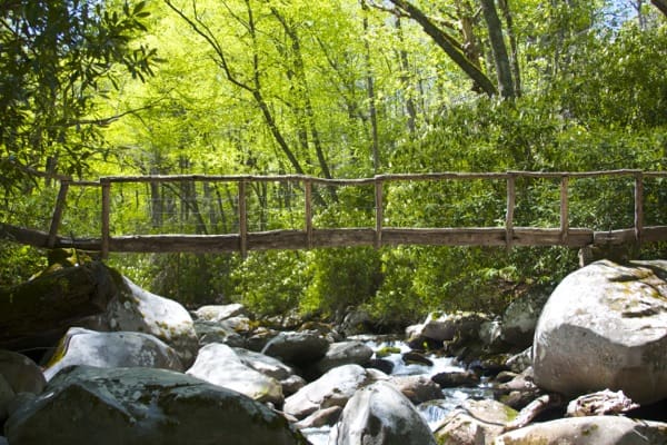 Porter's Creek Trail Bridge