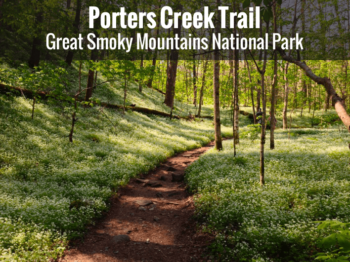 Porters Creek Trail