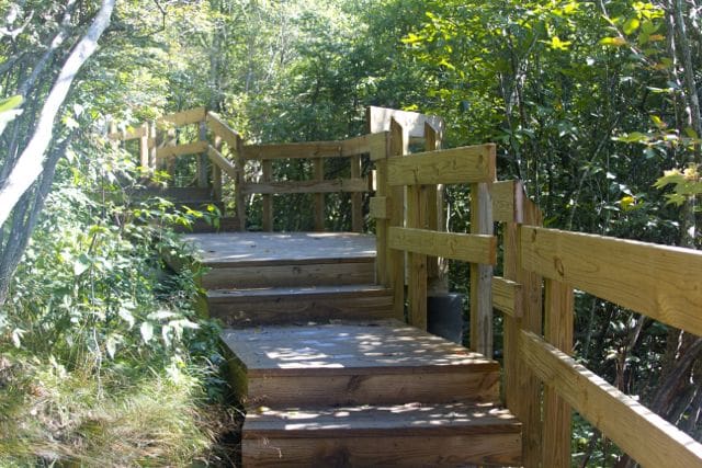 New Trail Decking