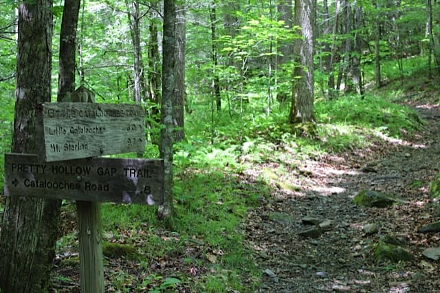 Little Cataloochee Trailhead