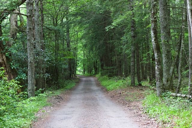 Horse Camp Road - Pretty Hollow Gap Trail