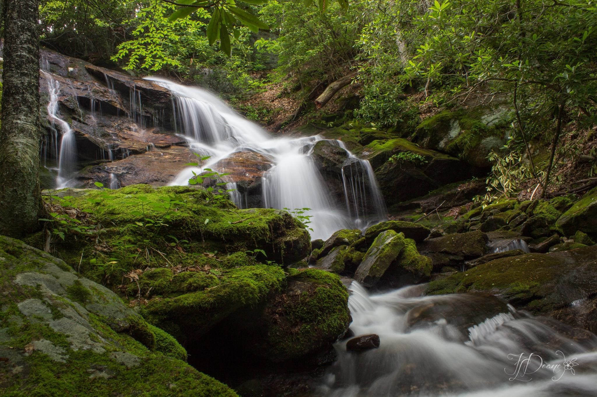 Upper Dill Falls