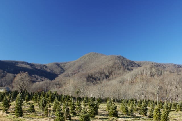 View from the farm