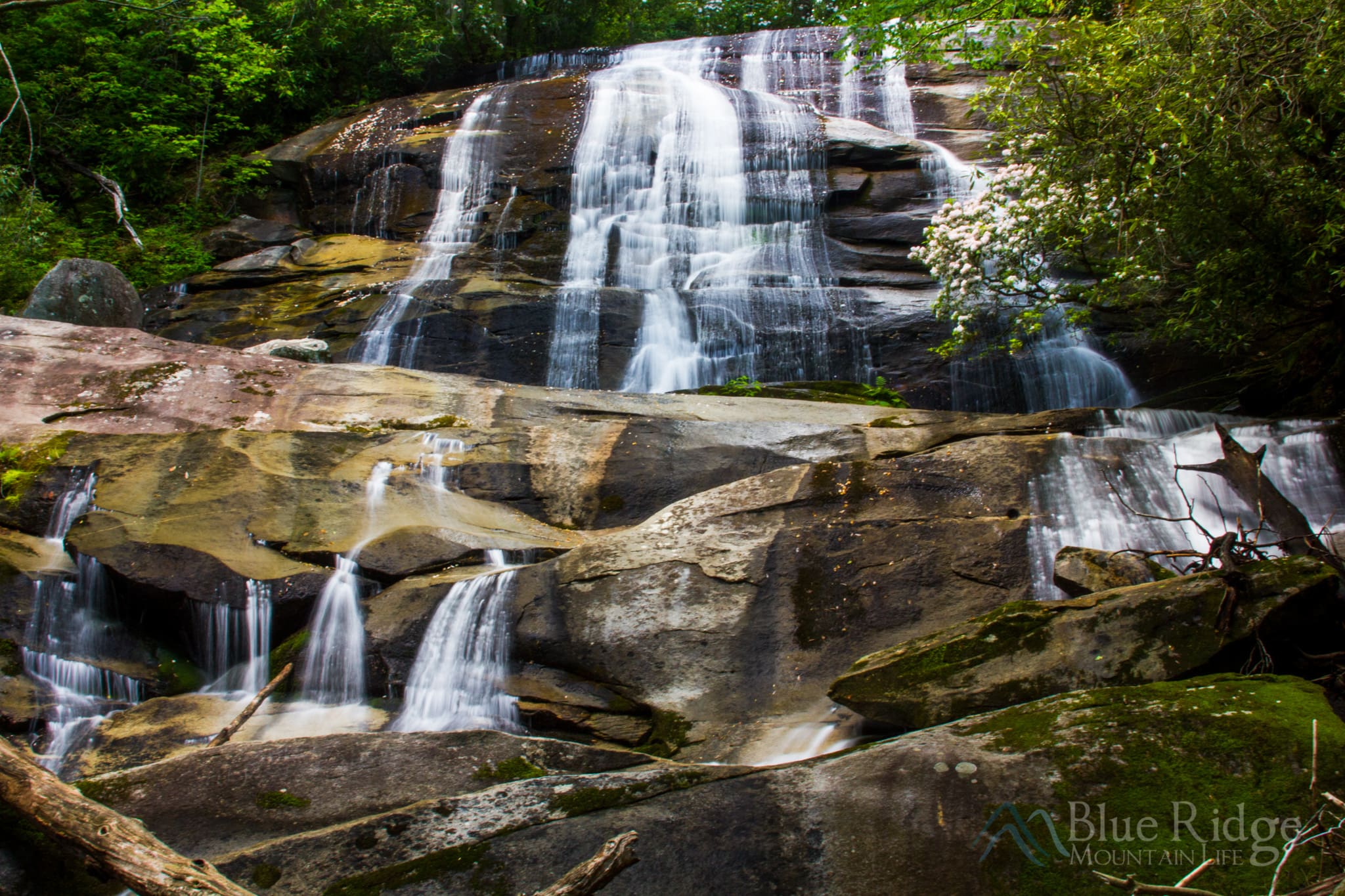 Cove Creek Falls Cove Creek Falls