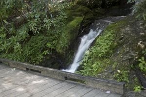 Huskey Branch Falls