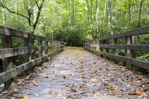 Trailhead Bridge in the Fall