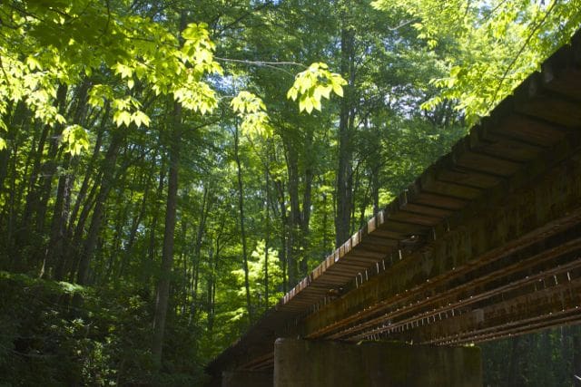 little-river-railroad-bridge2