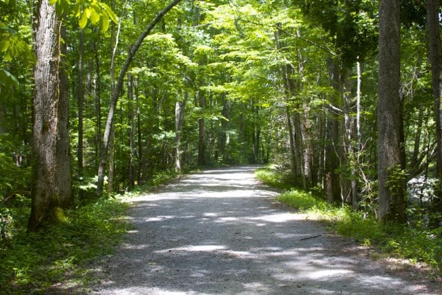 Little River Trail