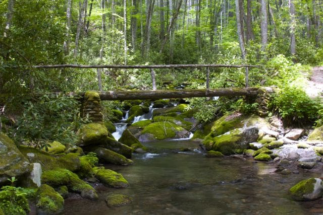 Log Foot Bridge