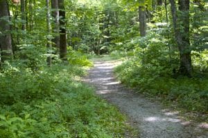 Trail to the"troll bridge"