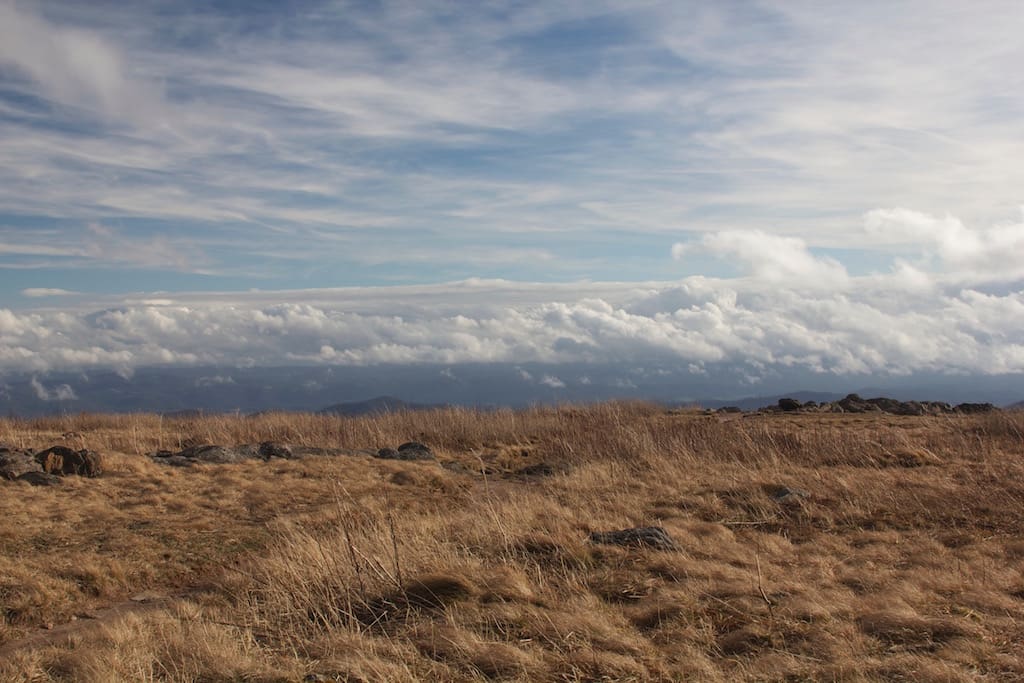 Above the Clouds at Black Balsam