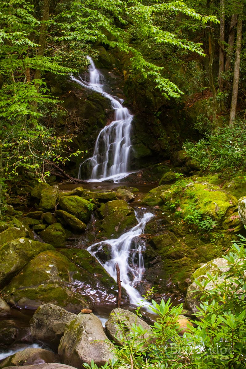 Mouse Creek Falls