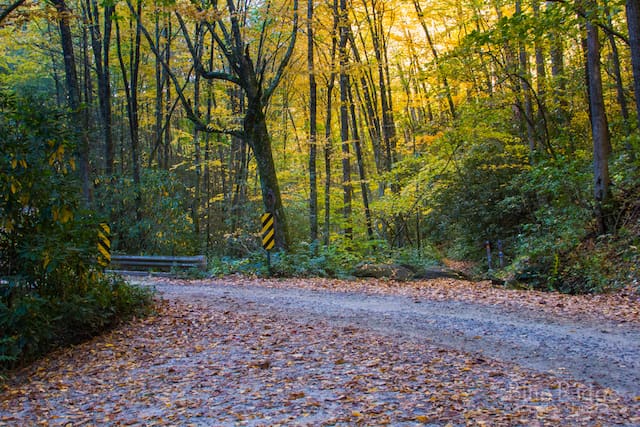 Courthouse Falls Trailhead