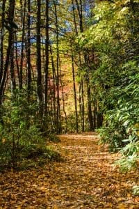 Courthouse Falls Trail
