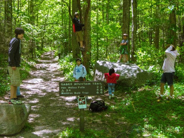 Gabe Mountain Trailhead