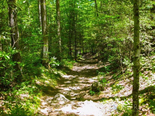 Gabe Mountain Trail