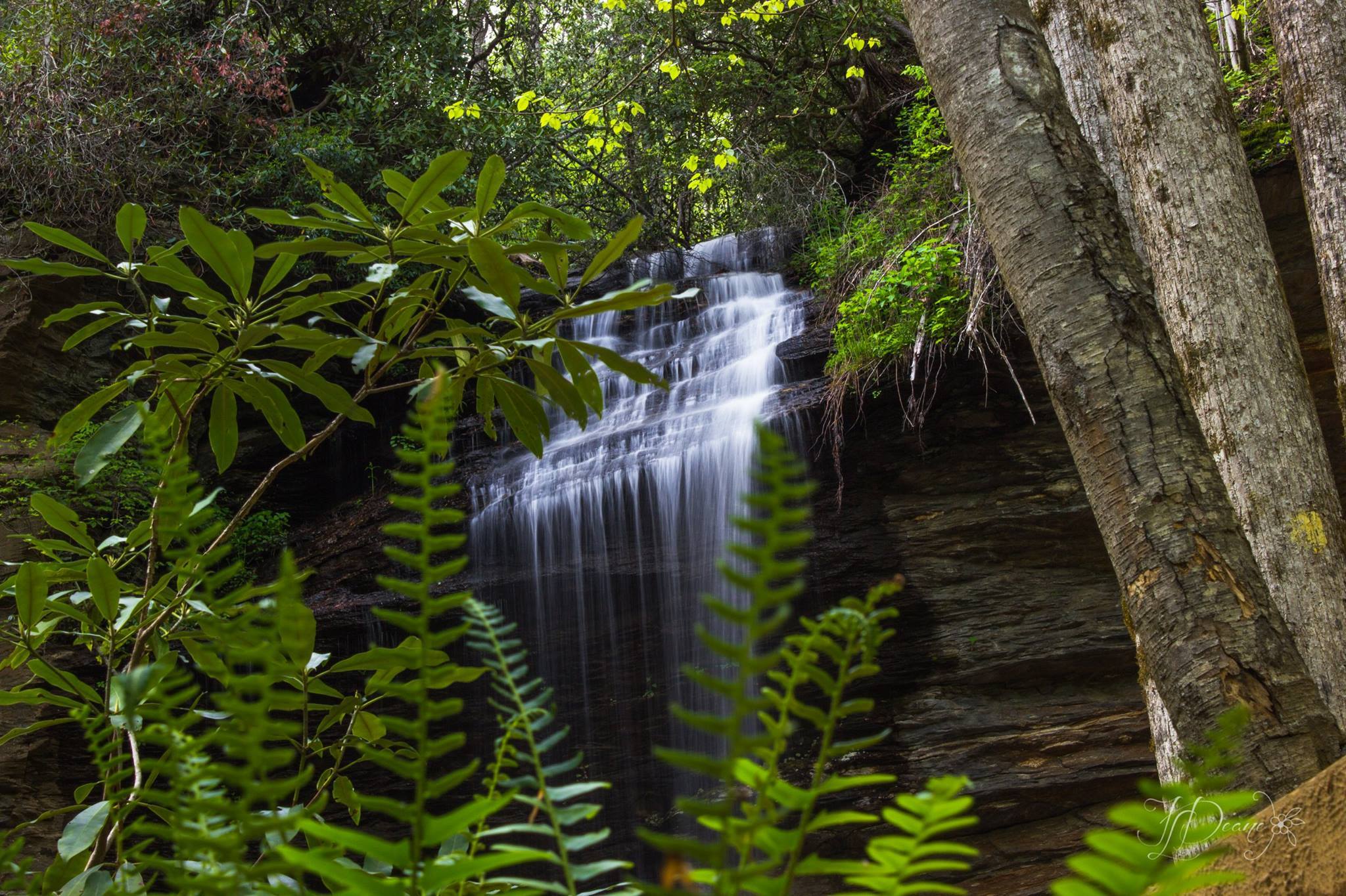 Moore Cove Falls Moore Cove Falls