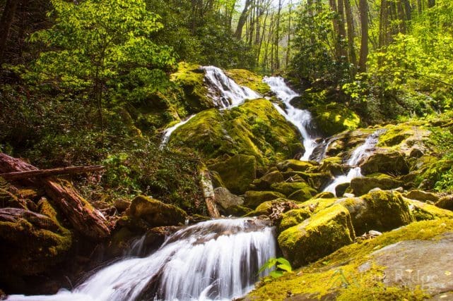 Little Bird Falls NC Little Bird Falls NC