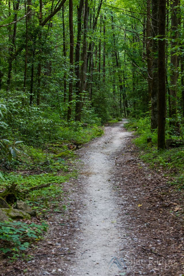 Chasteen Creek Trail