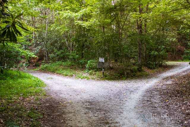 Bradley Fork Trail