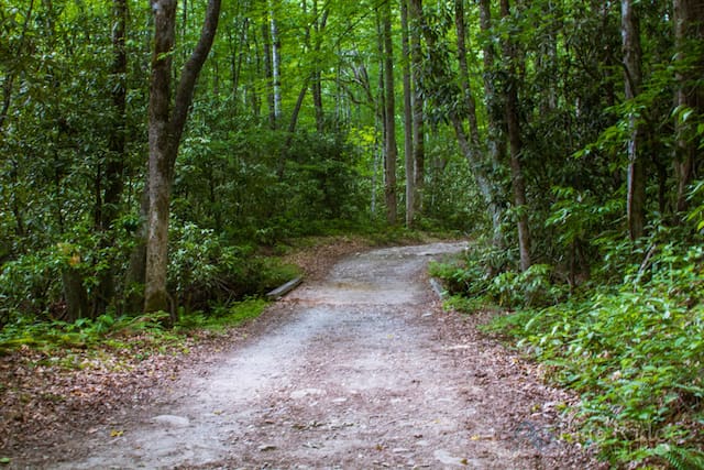 Bradley Fork Trail Bridge