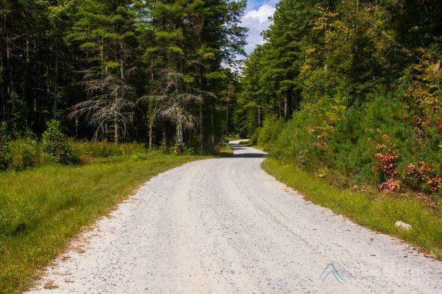 Conversation Road Dupont State Forest