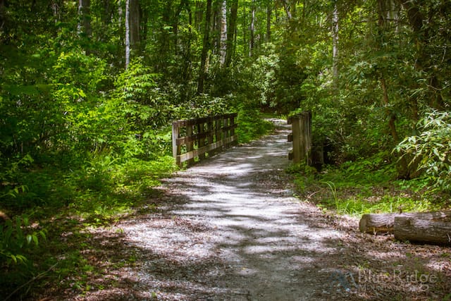 Bradley Fork Trail