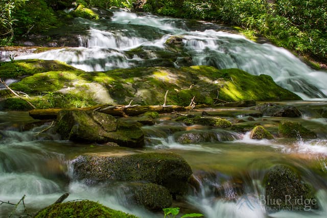 Chasteen Creek Cascade