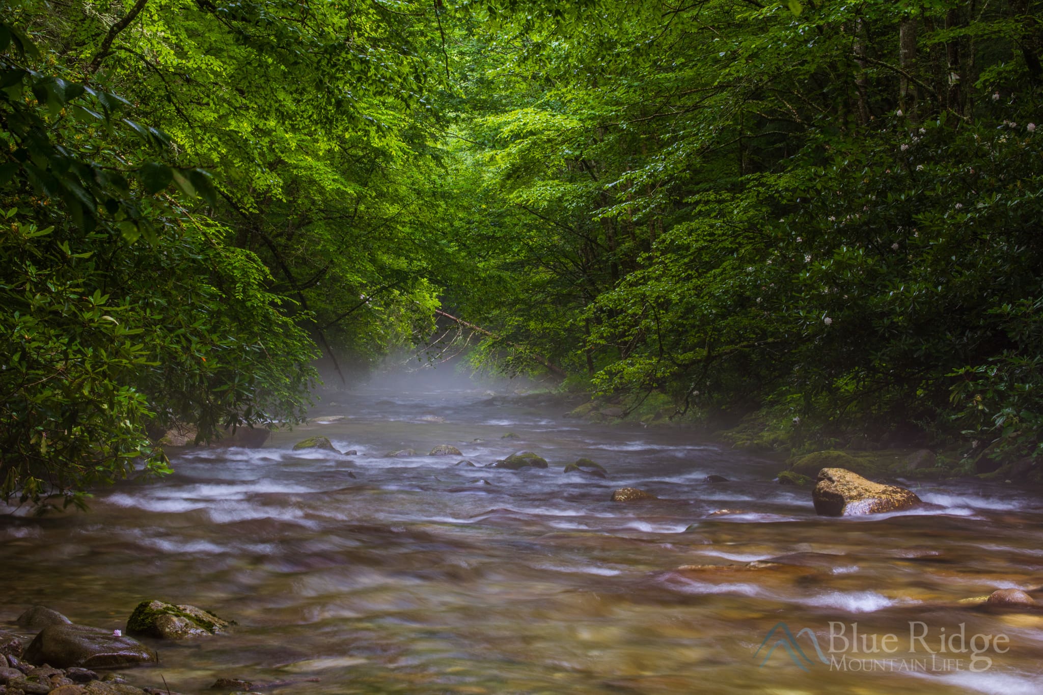 Heintooge Ridge Road - Below the Bridge