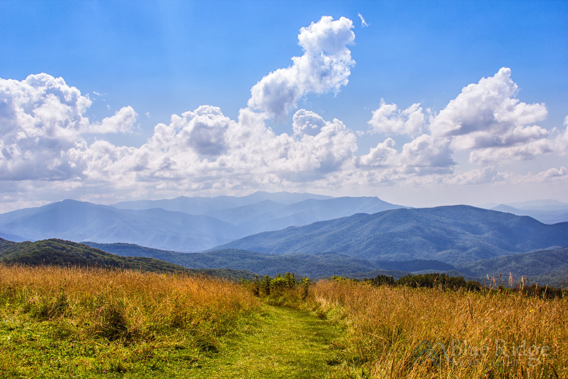 Max Patch - Appalachian Ranger District Max Patch - Appalachian Ranger District