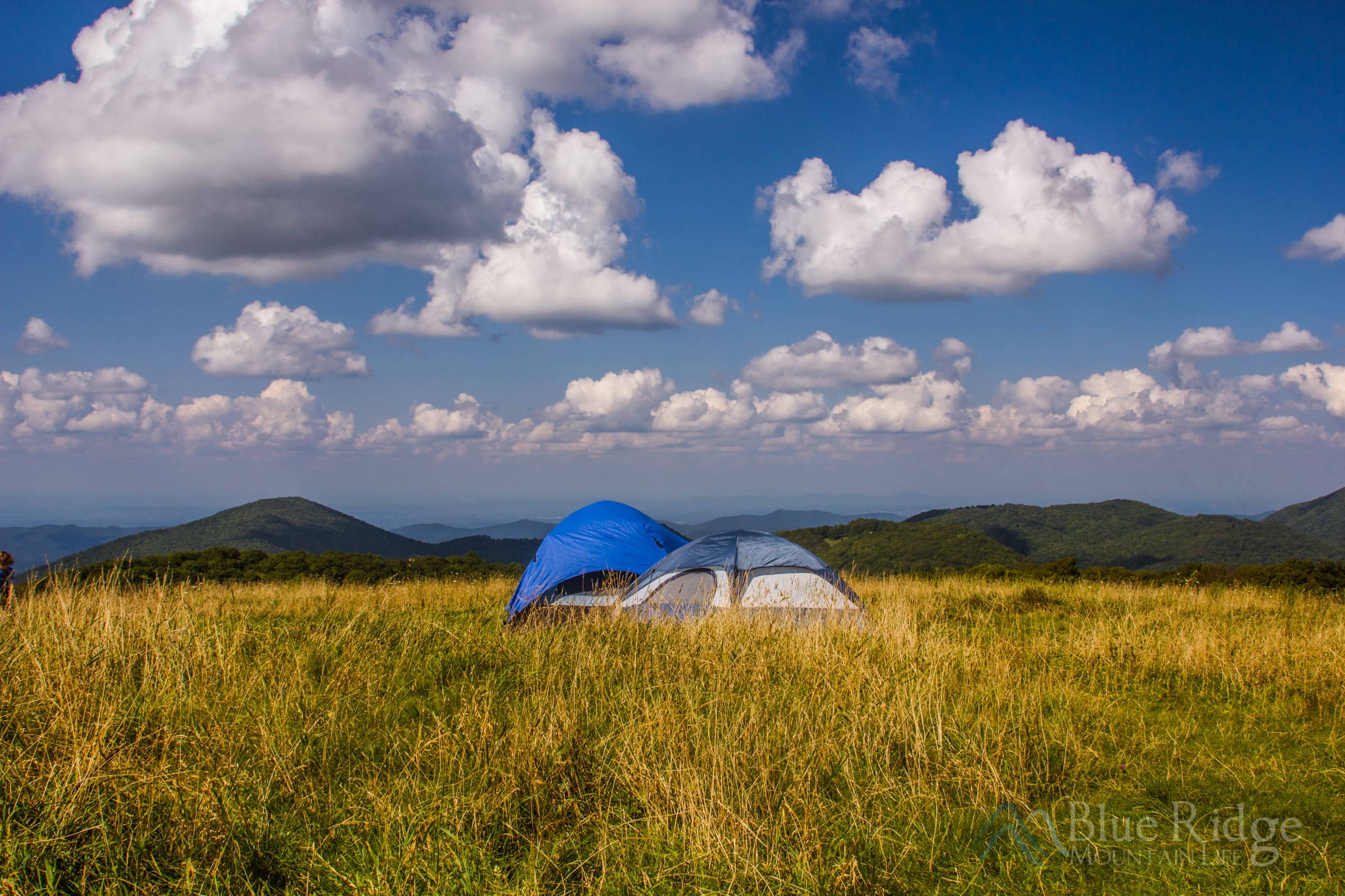 Pisgah National Forest Camping Pisgah National Forest Camping