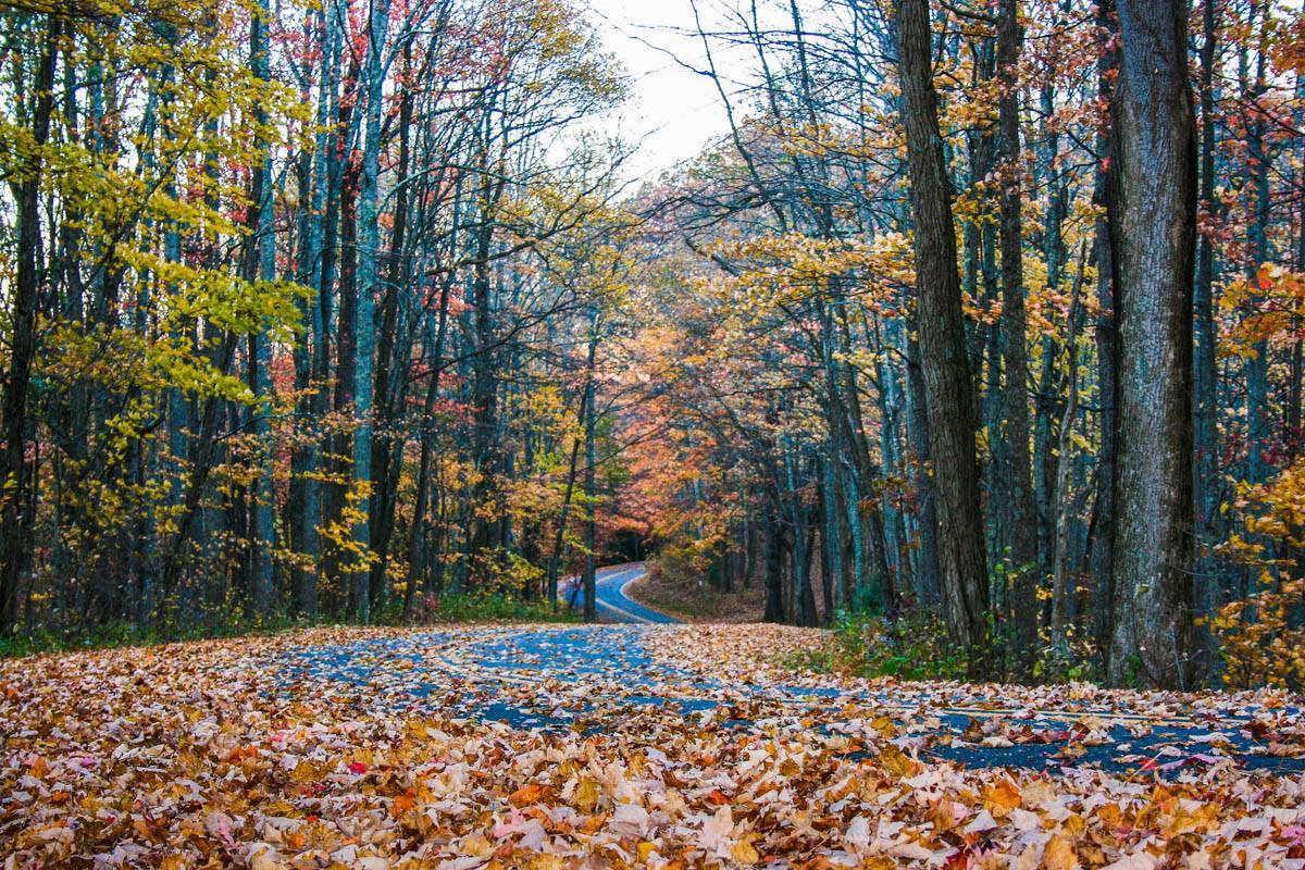 National Forest Scenic Byway