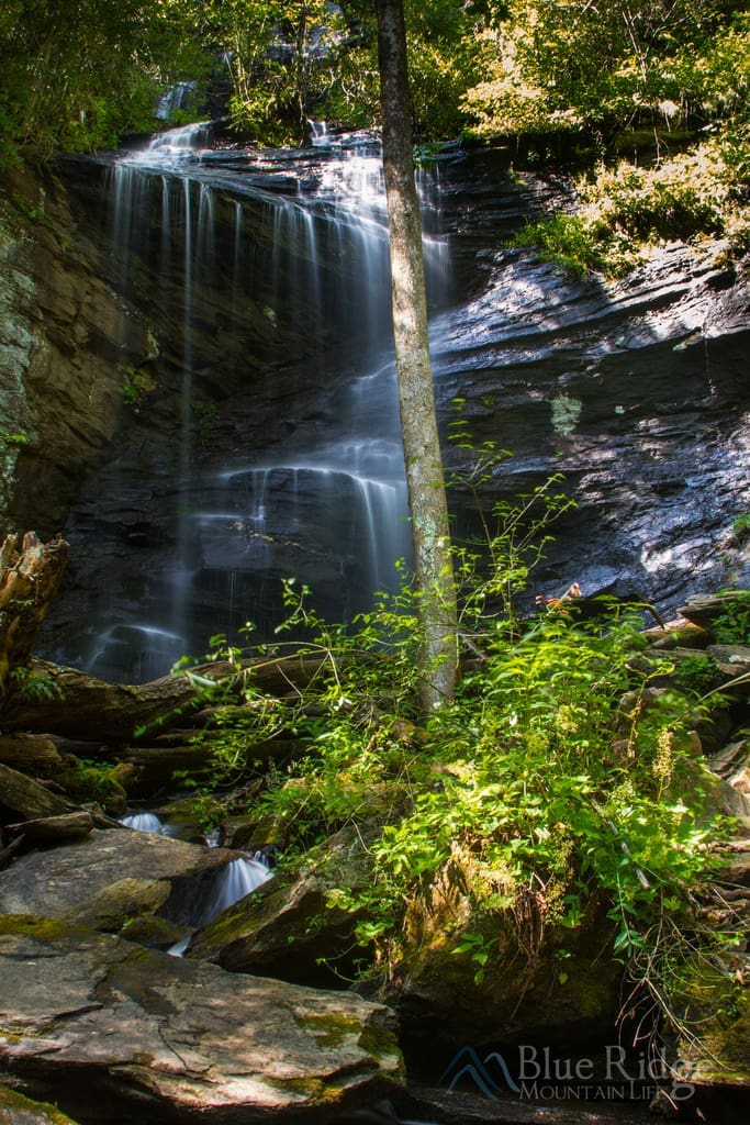 Twin Falls Henry Branch