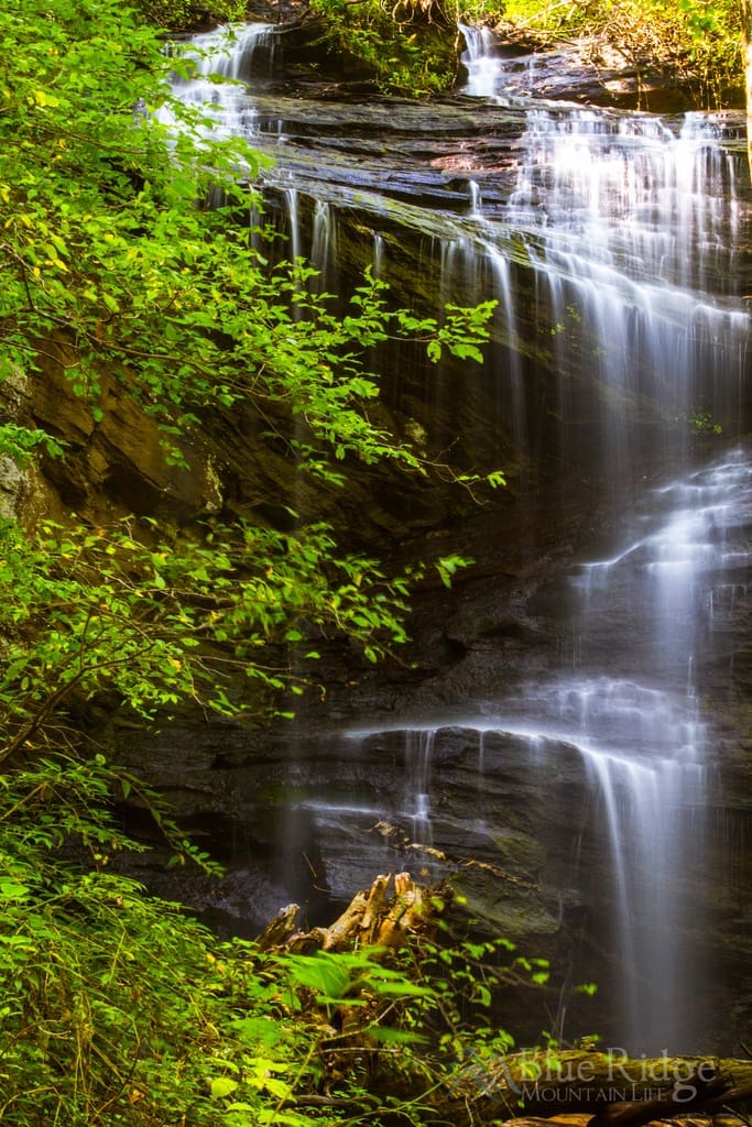 Twin Falls Henry Branch