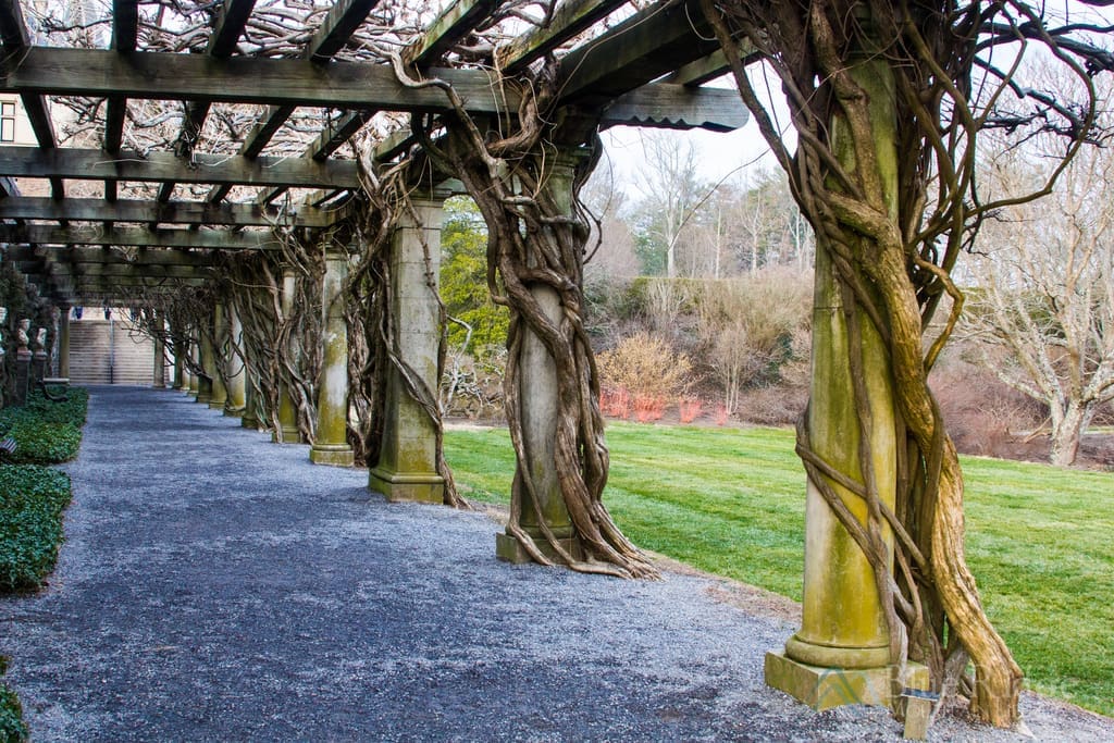 Biltmore Gardens Pergola