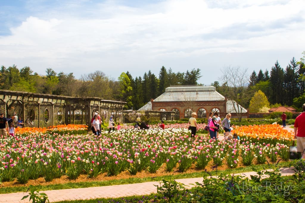 Biltmore Gardens Walled Garden