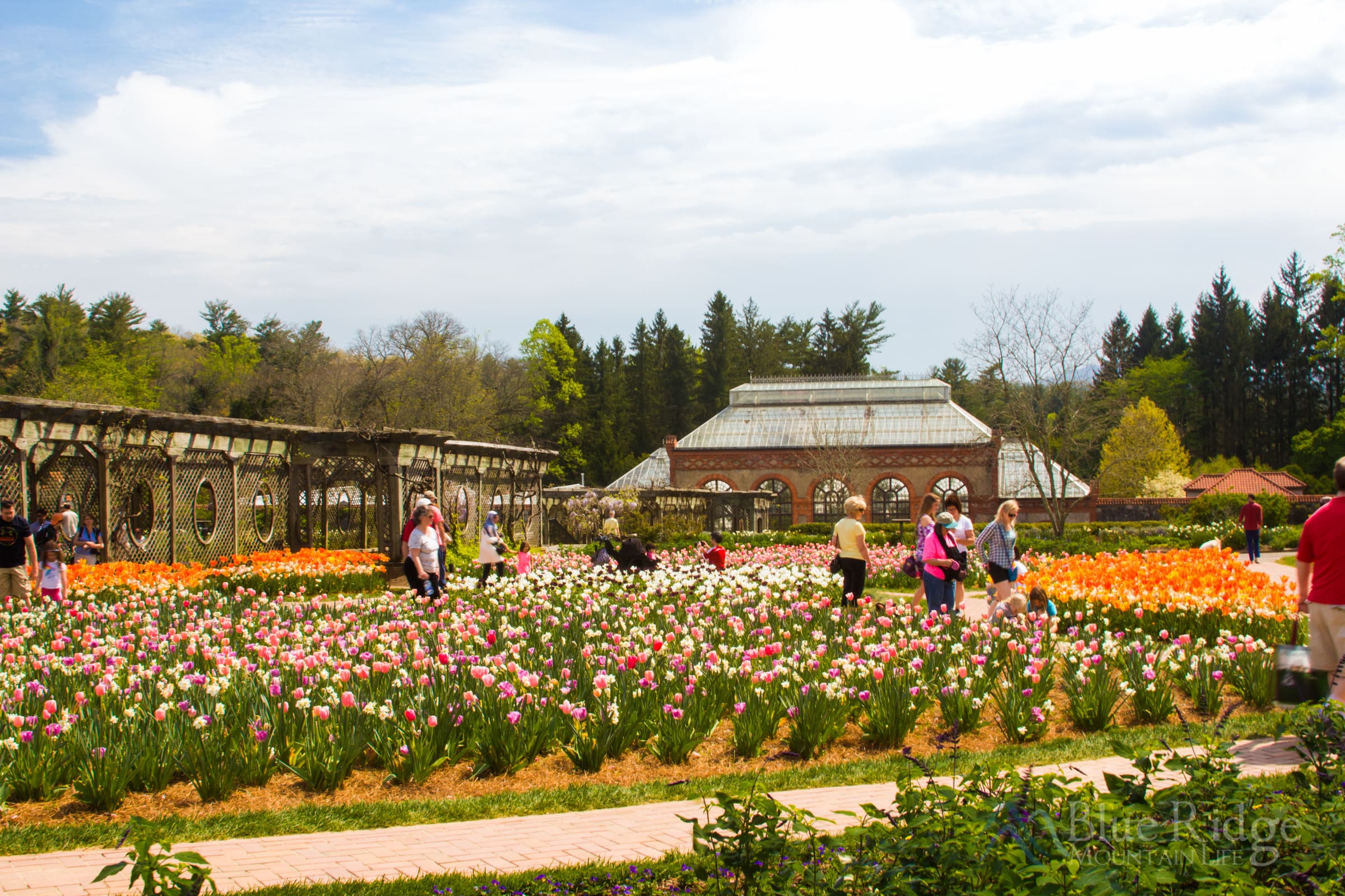 Biltmore Gardens Walled Garden