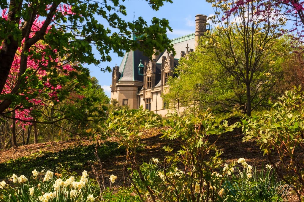 Biltmore Blooms