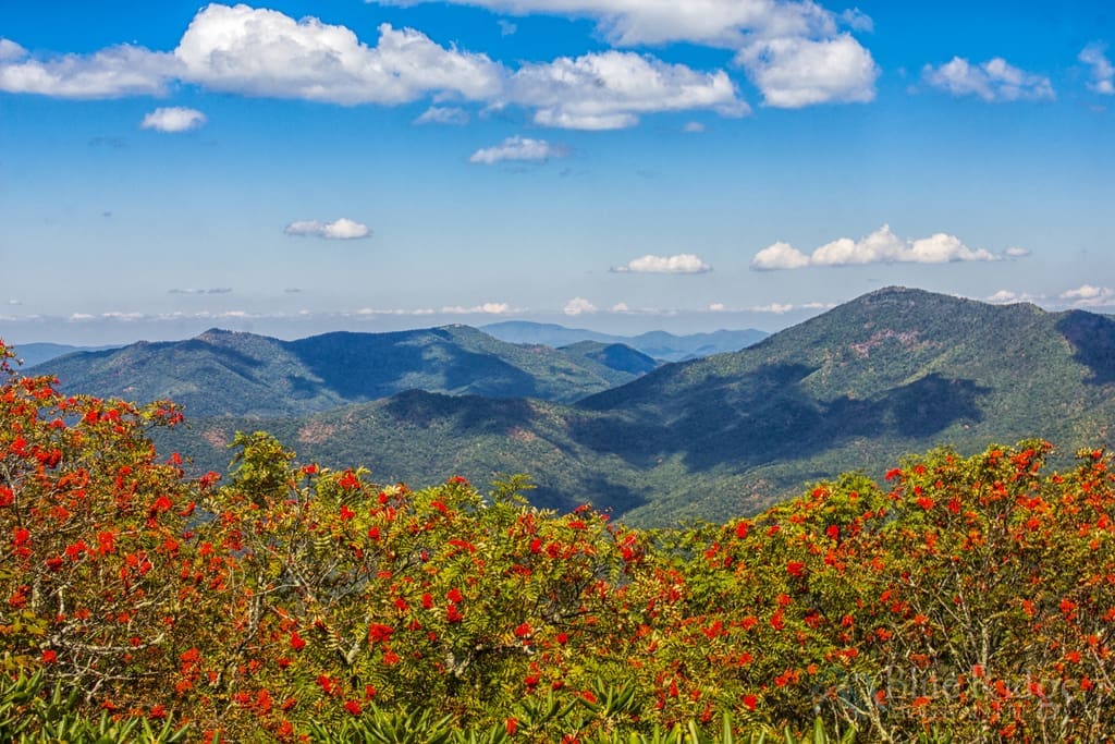 Craggy Gardens