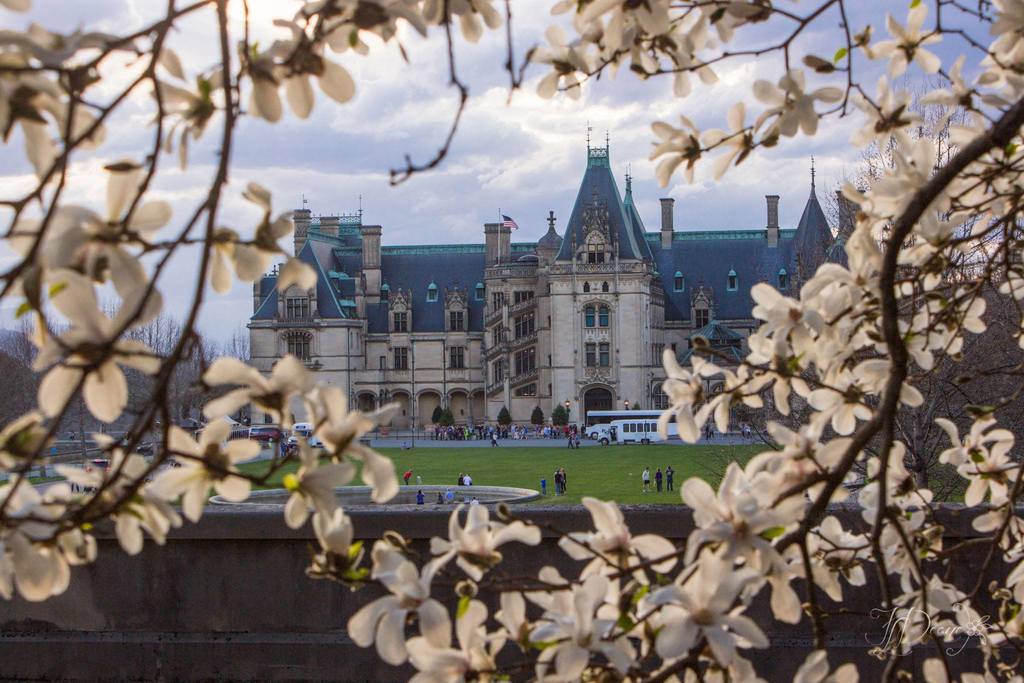 Spring at Biltmore