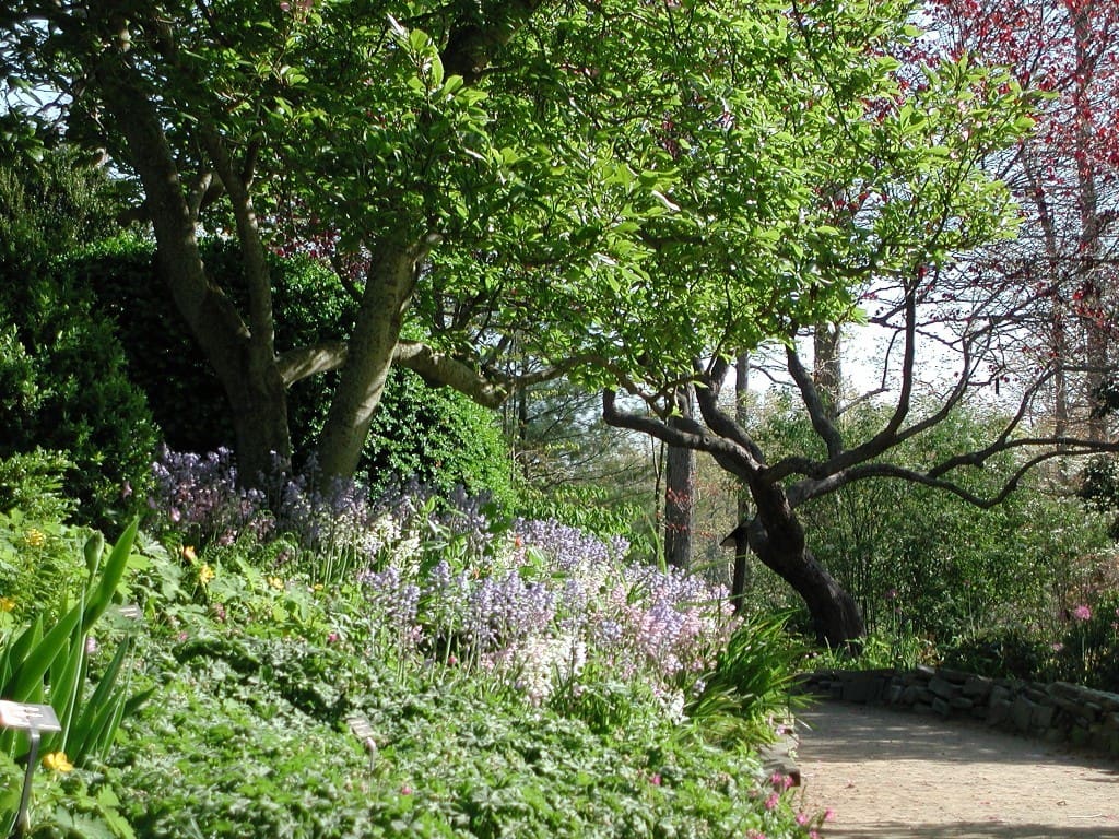 NC Arboretum Garden