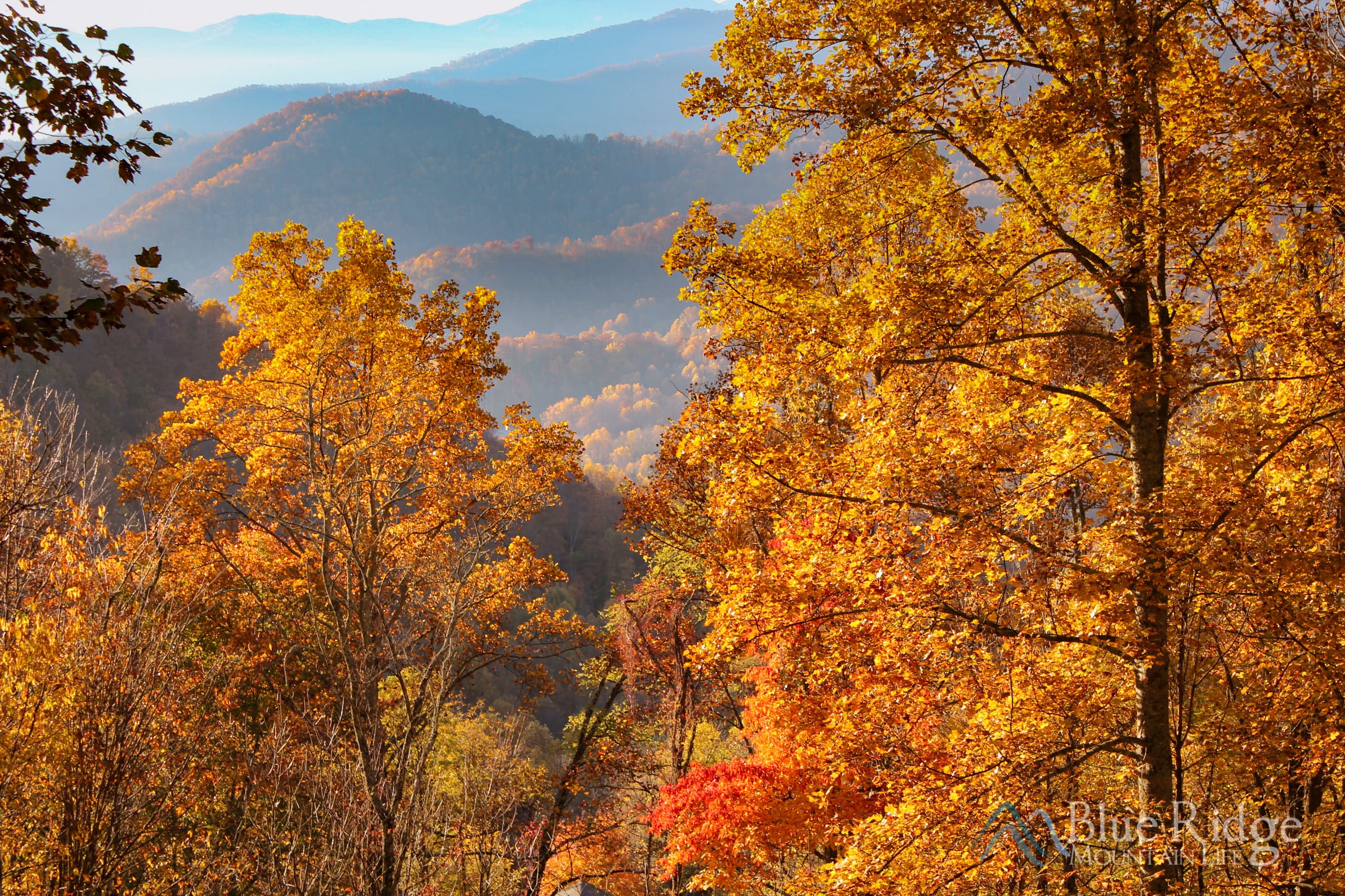 Fall Colors Blue Ridge Mountains Fall Colors Blue Ridge Mountains
