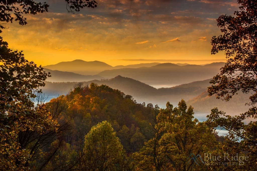 Fall Foliage Blue Ridge Mountains
