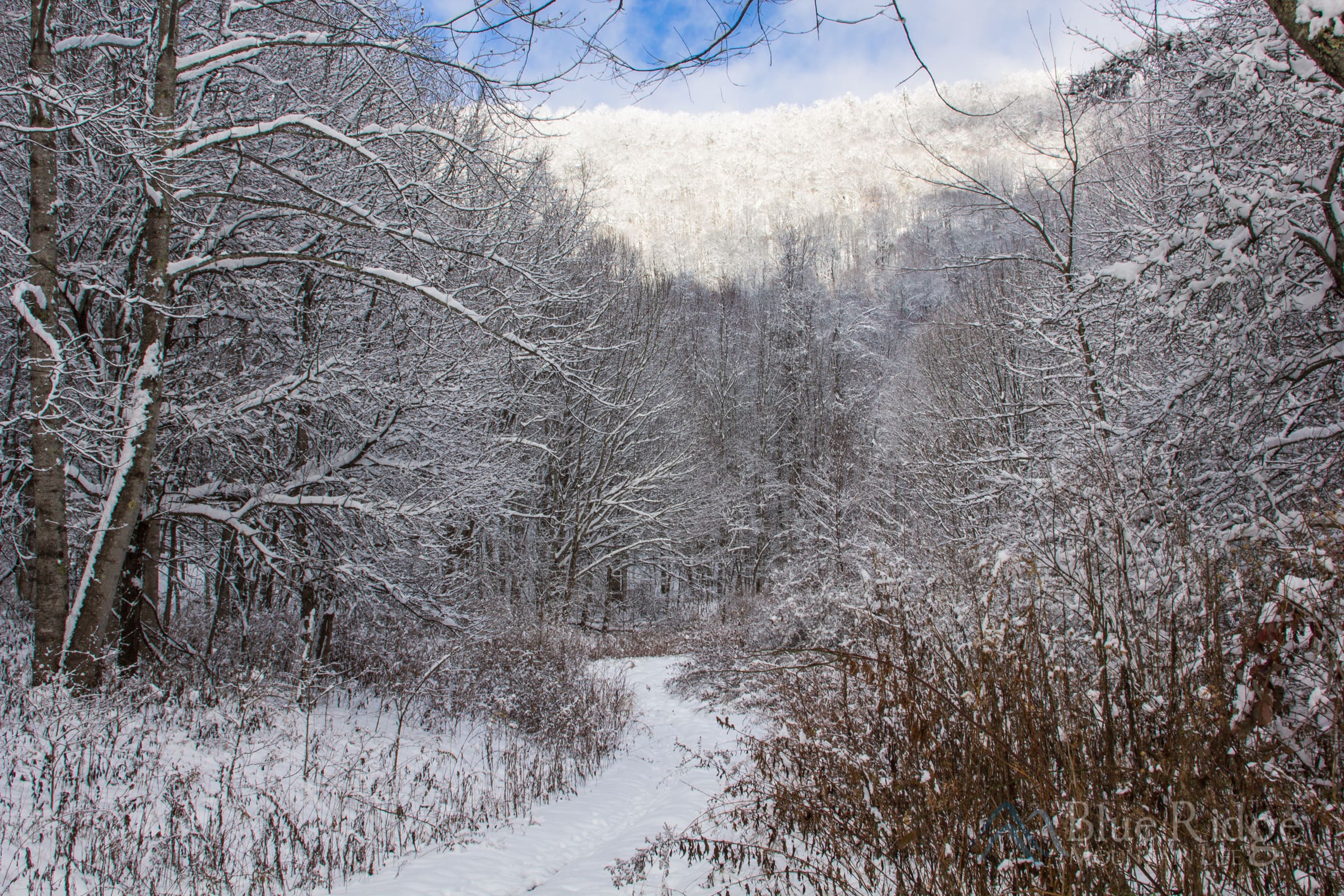 Winter Hiking Winter Hiking