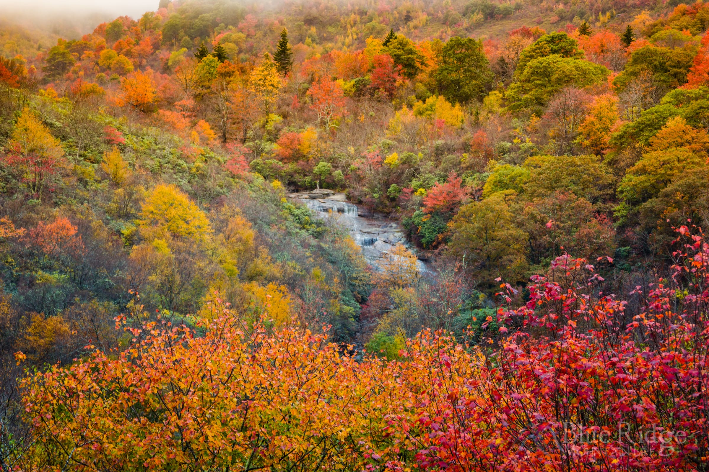 Fall Color Graveyard Fields Fall Color Graveyard Fields